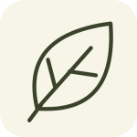 Icon Earthyzen Everyday